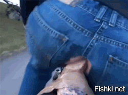 Экзотический массаж в спортзале