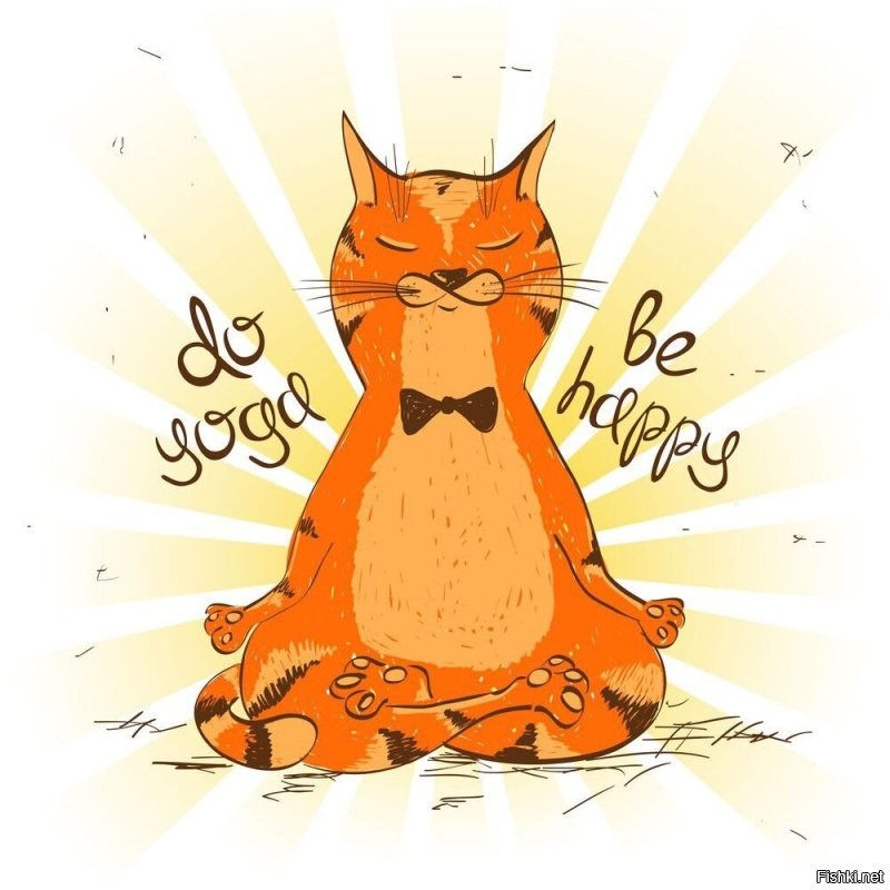 Кот обрёл внутренний покой