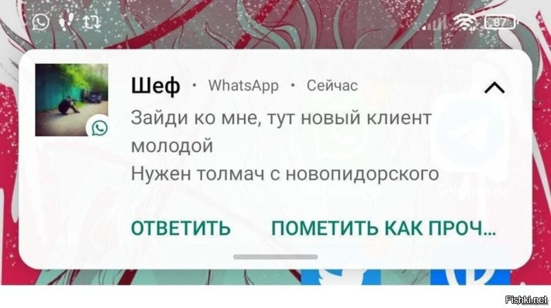 Скрины из соцсетей