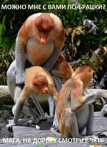 Бородач залез на крышу поезда в метро