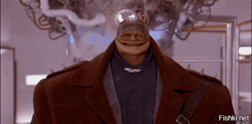 Телохранитель египетского бизнесмена