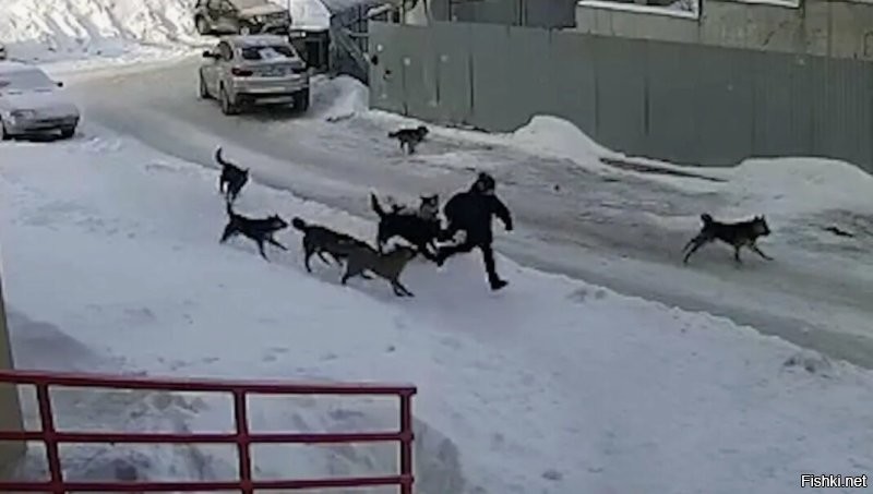 Солянка от 06.03.2026
