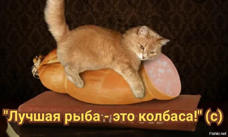 Большая тарелка улыбатора